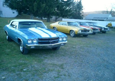 Restored Chevelles lined up
